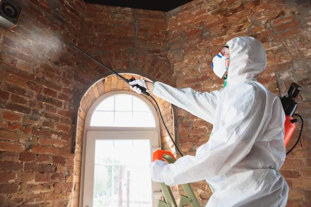 Best Commercial Mold Inspection in Kennedale, TX